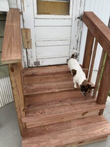 Close-up of newly constructed wooden entry stairs, showcasing quality carpentry from Great Falls Deck & Carpentry in Great Falls, MT.