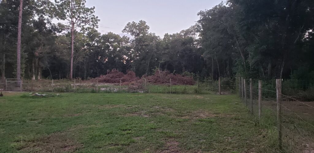 A newly installed wooden perimeter fence with a DLT Land Management sign, showcasing fencing services in Tampa, FL.