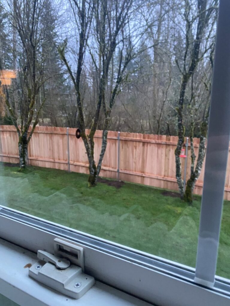 A newly installed wooden privacy fence viewed from a window in a backyard by J & M Fence Co. in Vancouver, WA.