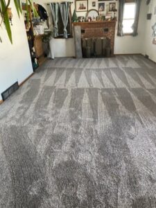 Newly installed grey carpet with fresh vacuum marks in a residential room by Creative Carpets in North Las Vegas, NV.