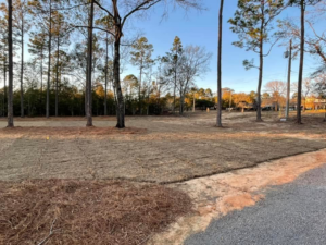 Newly installed sod on a cleared plot of land by Stokes Contracting LLC in Mobile, AL