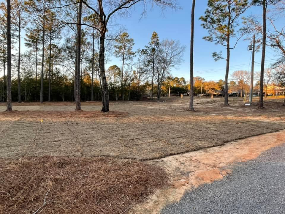 Newly installed sod on a cleared plot of land by Stokes Contracting LLC in Mobile, AL