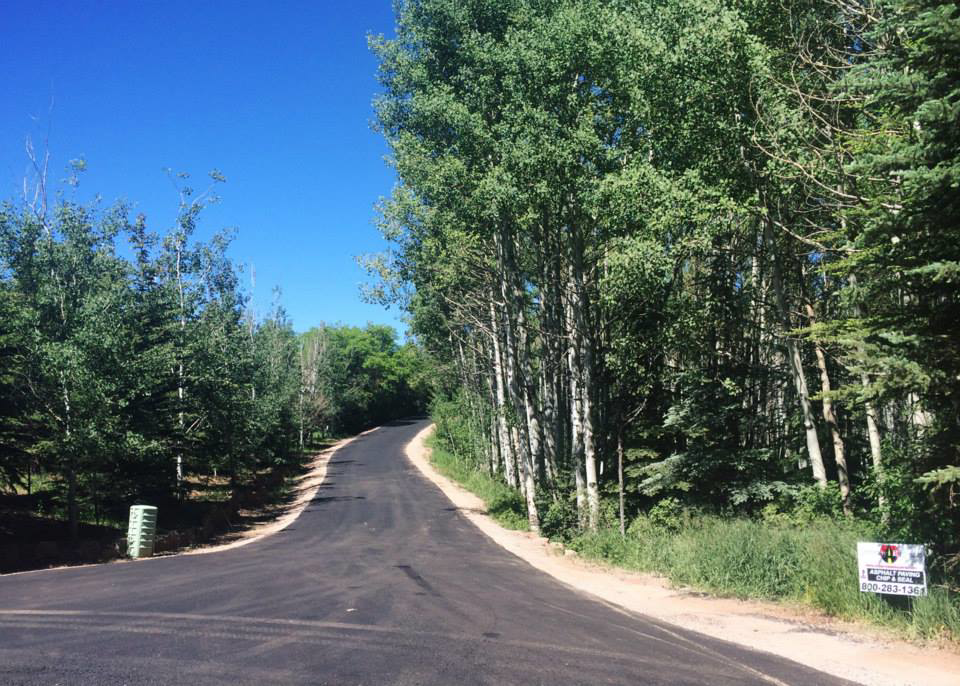 A newly paved asphalt road winding through trees, expertly installed by Driveway Experts in Denver, CO.
