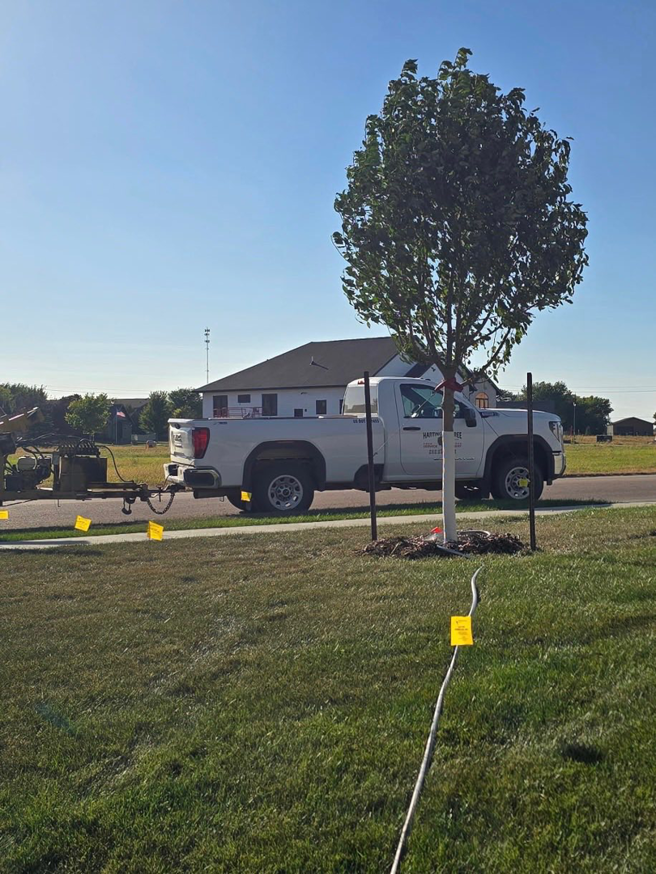 A newly planted tree with stakes and a watering hose next to a Hartington Tree service truck in Yankton, SD.