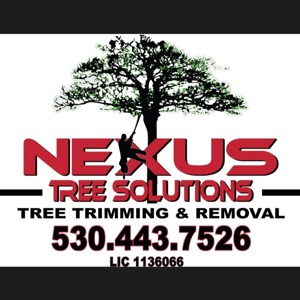 Nexus Tree Solution’s