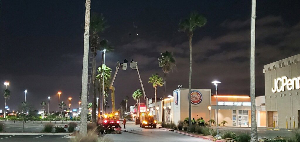 Multiple bucket trucks and workers trimming palm trees at night in a commercial area by JRs PALM TREE SERV. in Corpus Christi, TX.