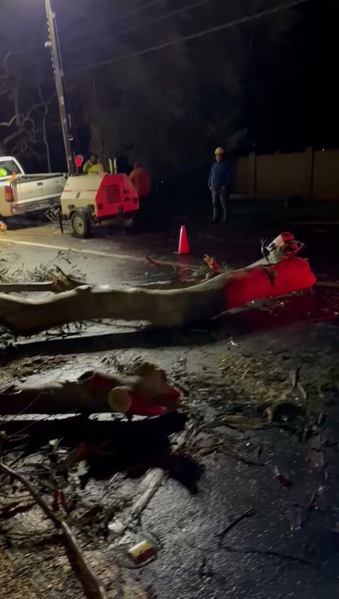 Tree debris on a road at night with workers and equipment, indicating emergency tree service cleanup by Oscar's Expert Tree Services in San Jose, CA.