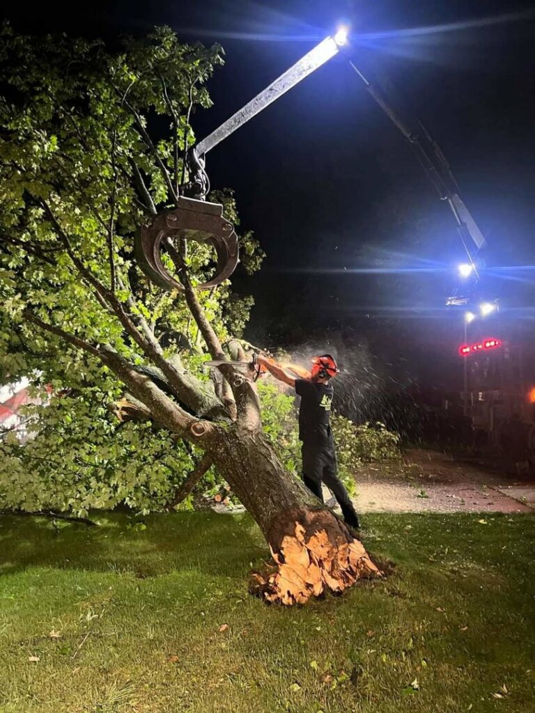 A tree service worker using a chainsaw to cut a fallen tree at night, with a grapple holding a branch, by Klee Logging & Tree Service Inc. in Green Bay, WI.