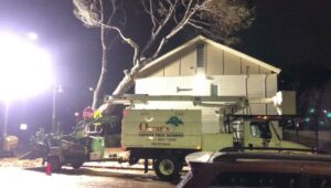 A tree service truck with a chipper and a worker in a bucket lift performing tree removal at night for Oscar's Expert Tree Services in San Jose, CA.