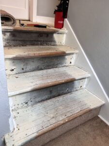 Old, painted stairs with peeling paint, awaiting renovation or refinishing by NV Floors LLC in Pittsburgh, PA.