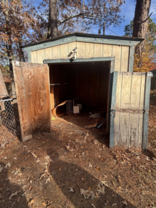 Open shed doors revealing clutter and debris inside, indicating a junk removal project for Nash's Cargo Company LLC in Shreveport, LA.