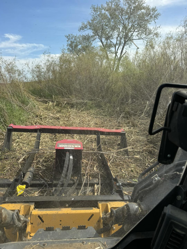 An operator's view from inside a skid steer mulching dense vegetation for Dakota Tree Company in Aberdeen, SD
