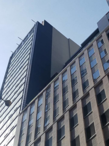 Ornate decorative plaster molding and trim on an interior wall by Sessa Plastering Corp. in Farmingdale, NY