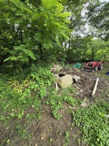 A large pile of outdoor debris and concrete junk in a wooded area, ready for removal by JOLTZ Junk Removal in Dayton, OH.