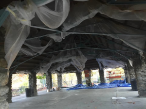 An outdoor pavilion undergoing renovation or painting work by O'Byrne Painting & Contracting, Inc in Wayland, MA.
