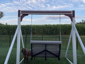 An outdoor swing set in a yard with a black metal fence installed by Lee Fence and Outdoor in York, PA.