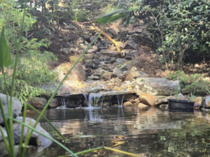 A beautifully designed outdoor waterfall and pond installation by NC Aquascapes in Cary, NC.