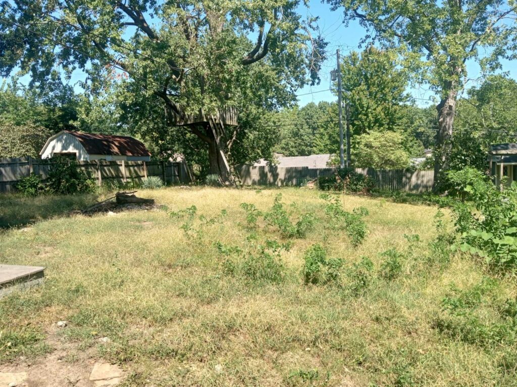 An overgrown backyard with tall grass and weeds, before landscaping services by Little Tykes Property Preservation in Independence, MO.