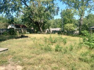 An overgrown backyard with tall grass and weeds, before landscaping services by Little Tykes Property Preservation in Independence, MO.