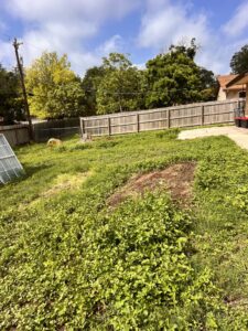 An overgrown backyard with discarded windows and wood debris, awaiting removal by SATX Junk-A-Haulics in San Antonio, TX.