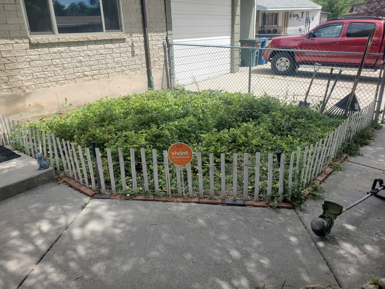 An overgrown garden bed with tools for clearing by Papa Bear's Home Care in West Valley City, UT.