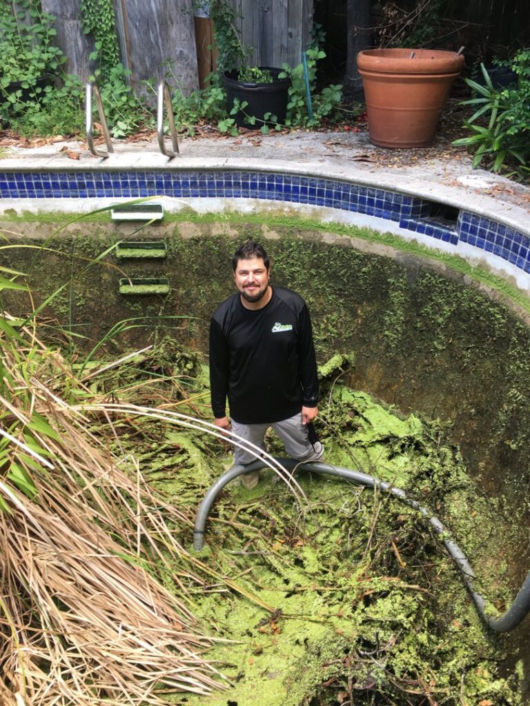A worker from Gator Junk Removal standing in an overgrown swimming pool filled with debris and algae in Miami, FL.