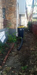 The overgrown side yard of a house with weeds and a trash can, ready for yard clean-up by Little Tykes Property Preservation in Independence, MO.