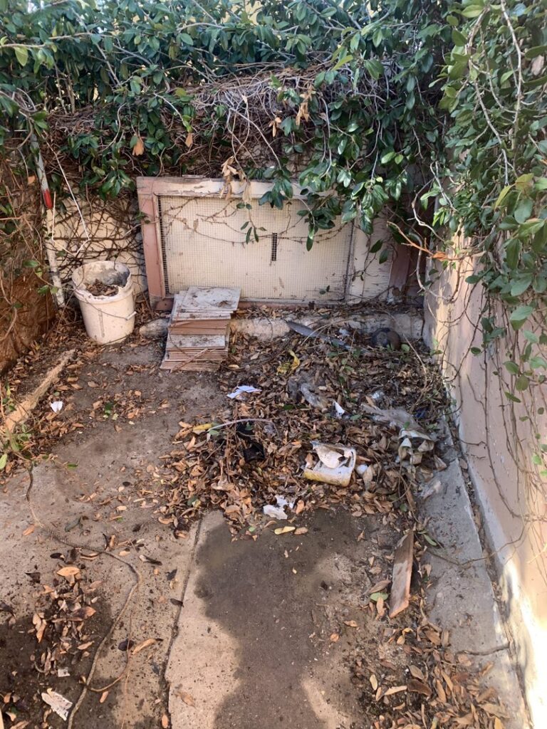 A small, overgrown outdoor area filled with leaves and trash, awaiting a yard cleanout service by We-Haul Junk Removal in Long Beach, CA