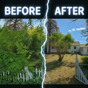 Before and after photos of an overgrown yard cleanout by JOLTZ Junk Removal in Dayton, OH, showing dense bushes cleared to reveal a tidy space.