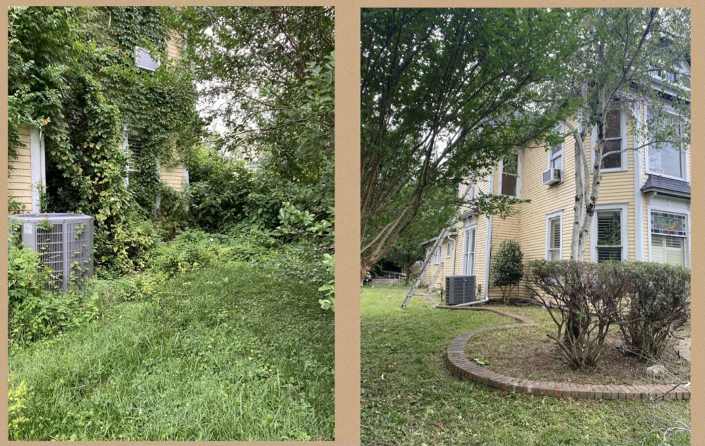 Before and after of an overgrown yard clearing and tree service by ED's Landscaping in Mechanicsville, VA.