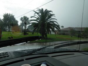 A worker from Jesse James Tree Rangers performing palm tree maintenance in Jacksonville, FL.