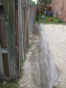 A large palm tree trunk lying on the ground after removal, showcasing tree service work by MJ'z Tree and Landscaping Service LLC in Fort Lauderdale, FL.
