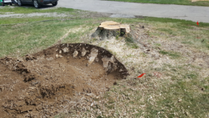 A partially ground tree stump surrounded by wood chips and soil, showing progress by AJ'S Stump Grinding in Bauxite, AR.