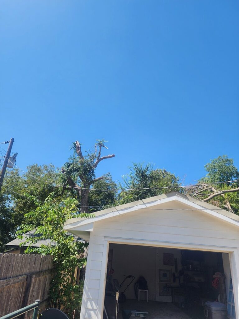 A partially removed tree, showing the progress of tree removal work by JP'S Tree Service next to a garage in Austin, TX.