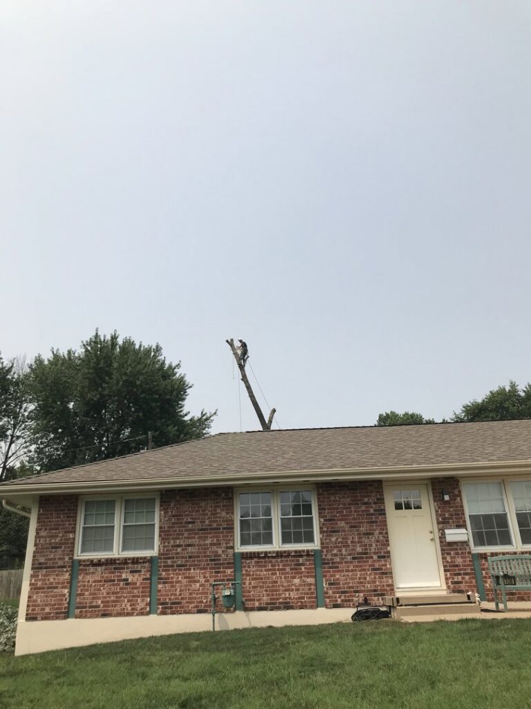 A partially removed tree trunk standing next to a residential house, showing tree removal work by 91Tree 81Sticks Tree Service in Kansas City, MO.