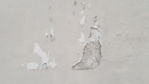 A wall with peeling paint and damaged plaster, indicating a need for repair by Fastrac Painting in Ann Arbor, MI