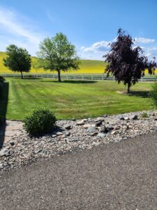 A perfectly mowed lawn with distinct stripes and a decorative rock bed, showcasing expert lawn care by Battleship Property Maintenance in Lewiston, ID.
