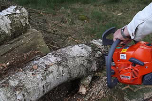 A person using a chainsaw to cut a fallen log, demonstrating tree removal services by Expert Tree Service in San Diego, CA.