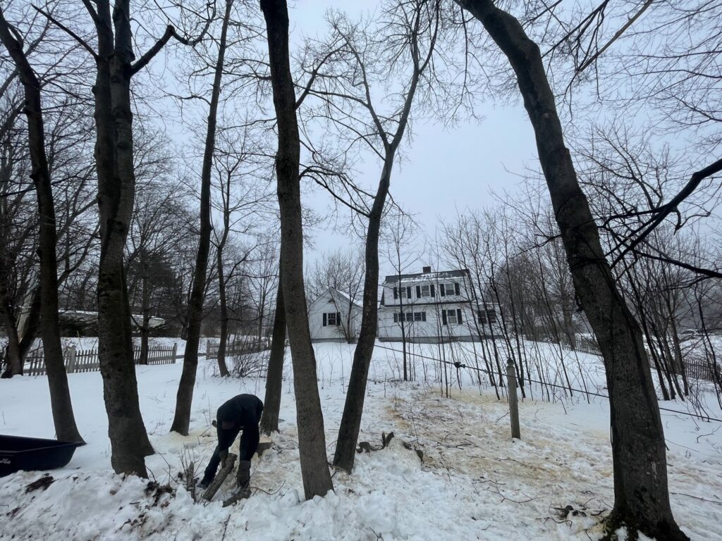 A person cutting small trees or brush in a snowy, wooded area, demonstrating land clearing services by Russell Tree Works & Firewood Sales in Augusta, ME.