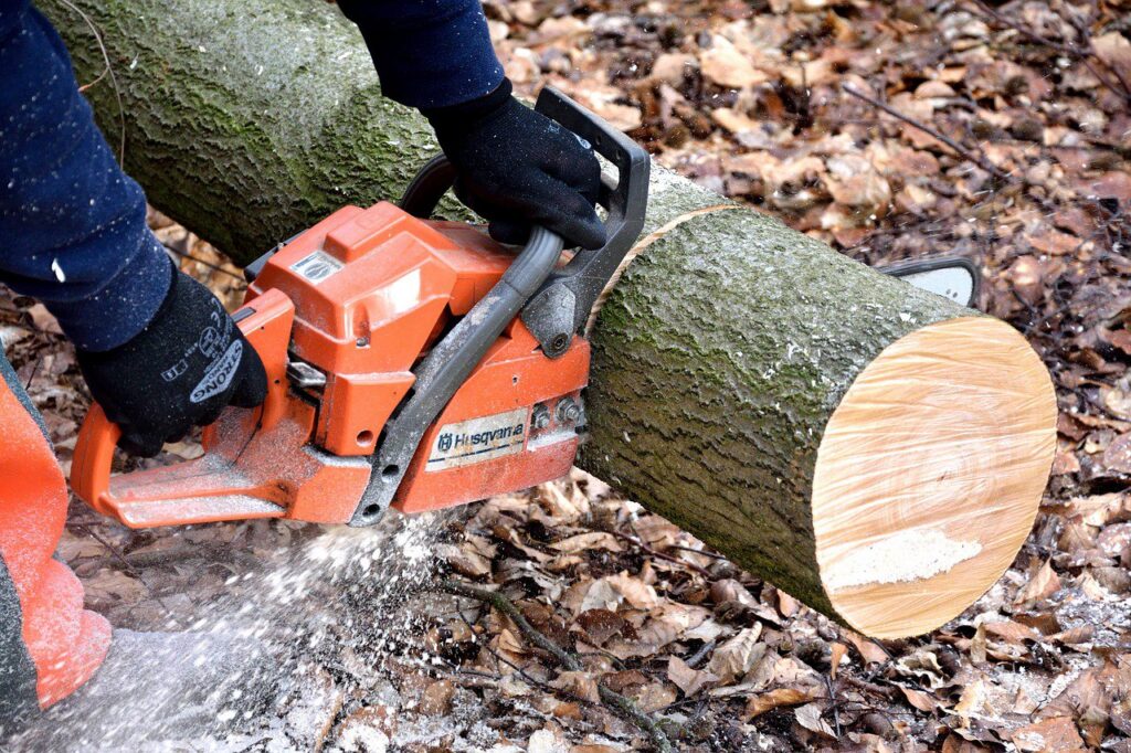 A person wearing gloves operating a chainsaw to cut a tree log for NN Landscaping, Construction & Tree Service in Lynn, MA.