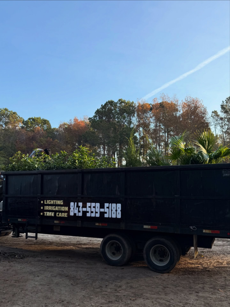 A person loading tree debris into a dump trailer for Cruz Lawn and Tree in Charleston, SC.