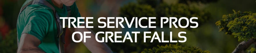 A person pruning a small tree or bush for Tree Service Pros of Great Falls in Great Falls, MT.