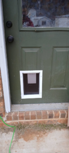 Exterior view of a newly installed pet door in a green residential door by Heath Universal Renovations in North Little Rock, AR.