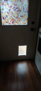 Interior view of a newly installed pet door in a residential door by Heath Universal Renovations in North Little Rock, AR.