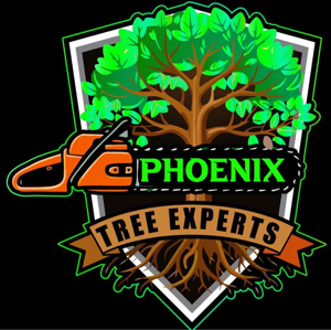 Phoenix Tree Experts