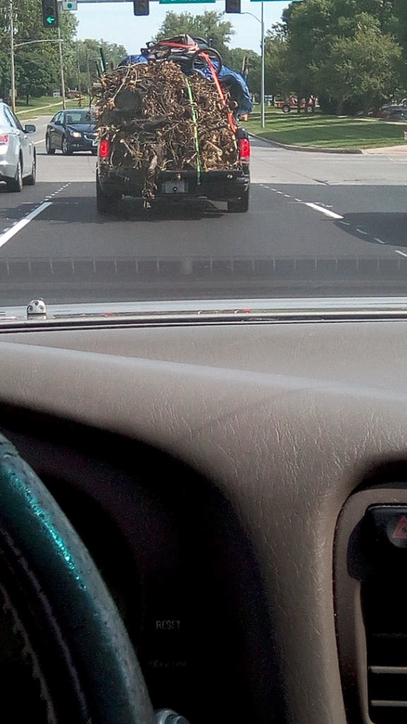 A pickup truck loaded with yard waste, including branches and brush, being hauled by D&D Hauling in Des Moines, IA.