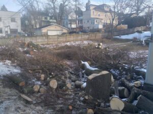 A large pile of freshly cut logs and branches in a snowy yard, showing completed tree removal work by Rustyn Page Landscaping in Harrisburg, PA.
