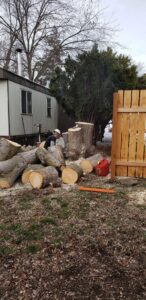 A large pile of cut logs and tree stumps in a residential yard after tree removal by D&R Tree Service in Lewiston, ID.