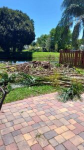 A large pile of cut palm fronds and branches after tree trimming by Florida Tree Cutters in Fort Lauderdale, FL