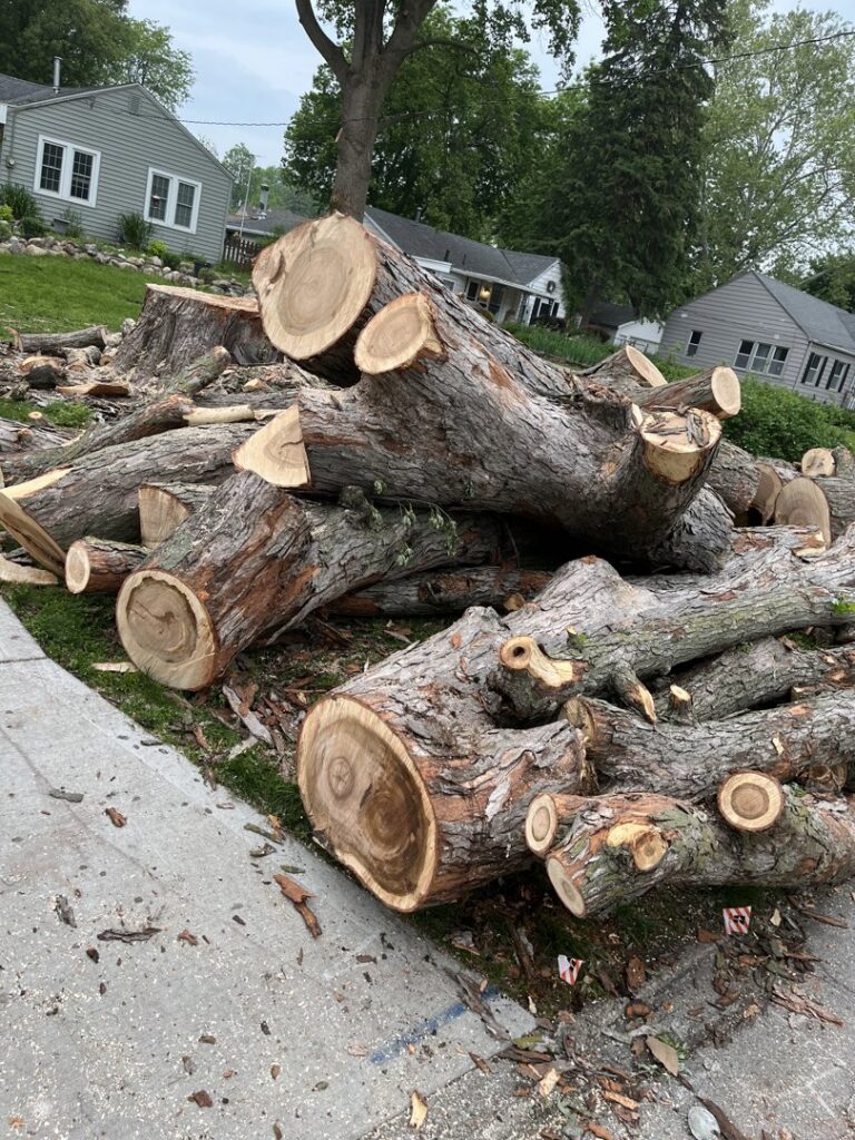 A large pile of freshly cut tree logs and branches from a recent tree service job by Southern Accent Tree Service in West Des Moines, IA.
